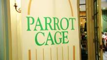 Parrot Cage | WTTW Season 07 Parrot Cage | WTTW Season 07