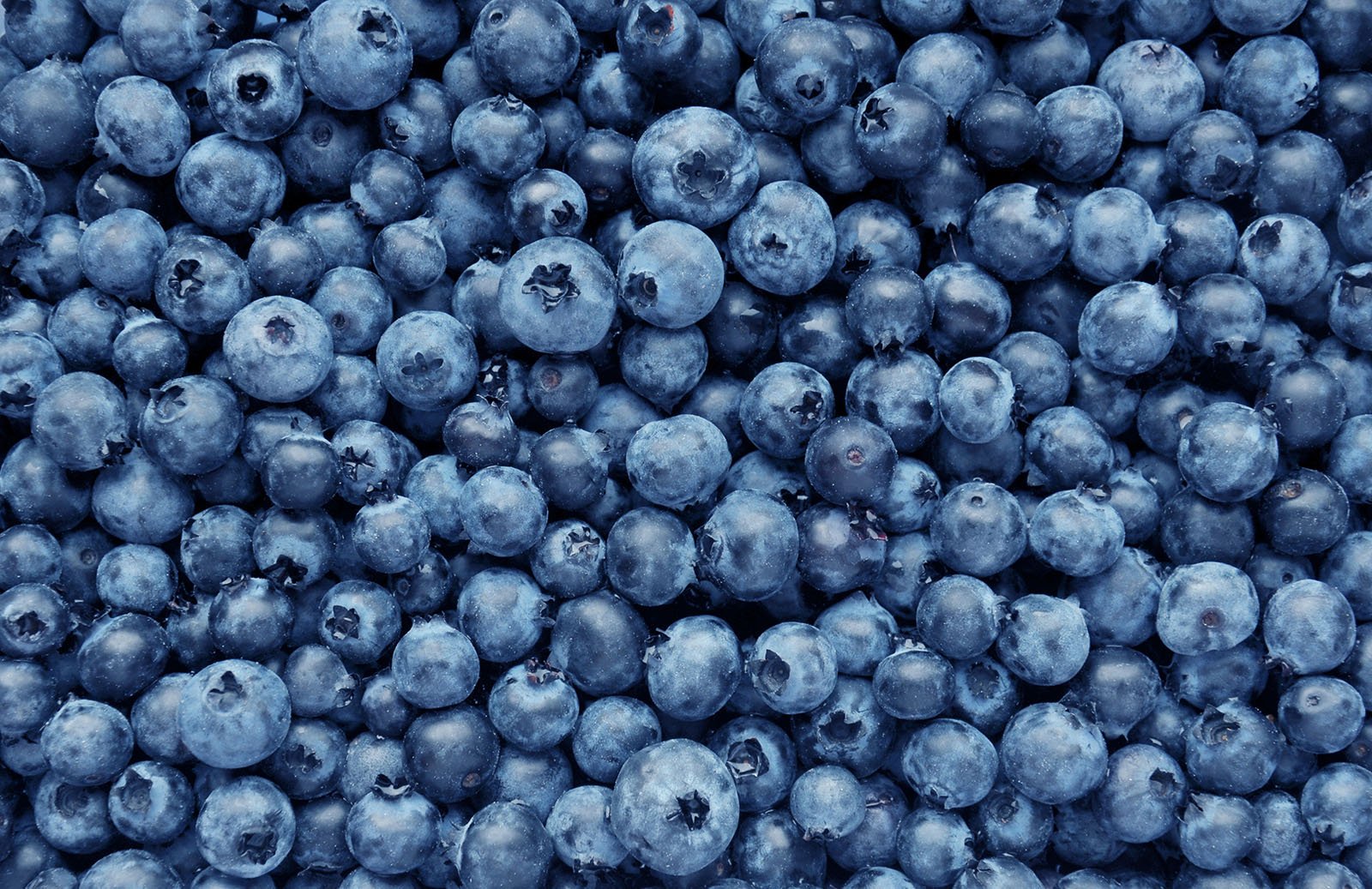 Blueberries