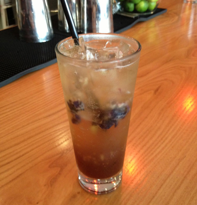 Blueberry Ginger Soda - 2 Sparrows
