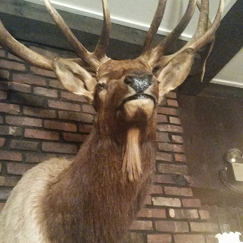 Terry Byrne’s restaurant choice, Krapil’s Steakhouse