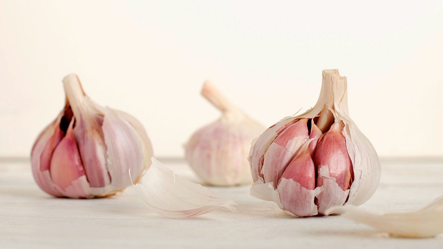 garlic