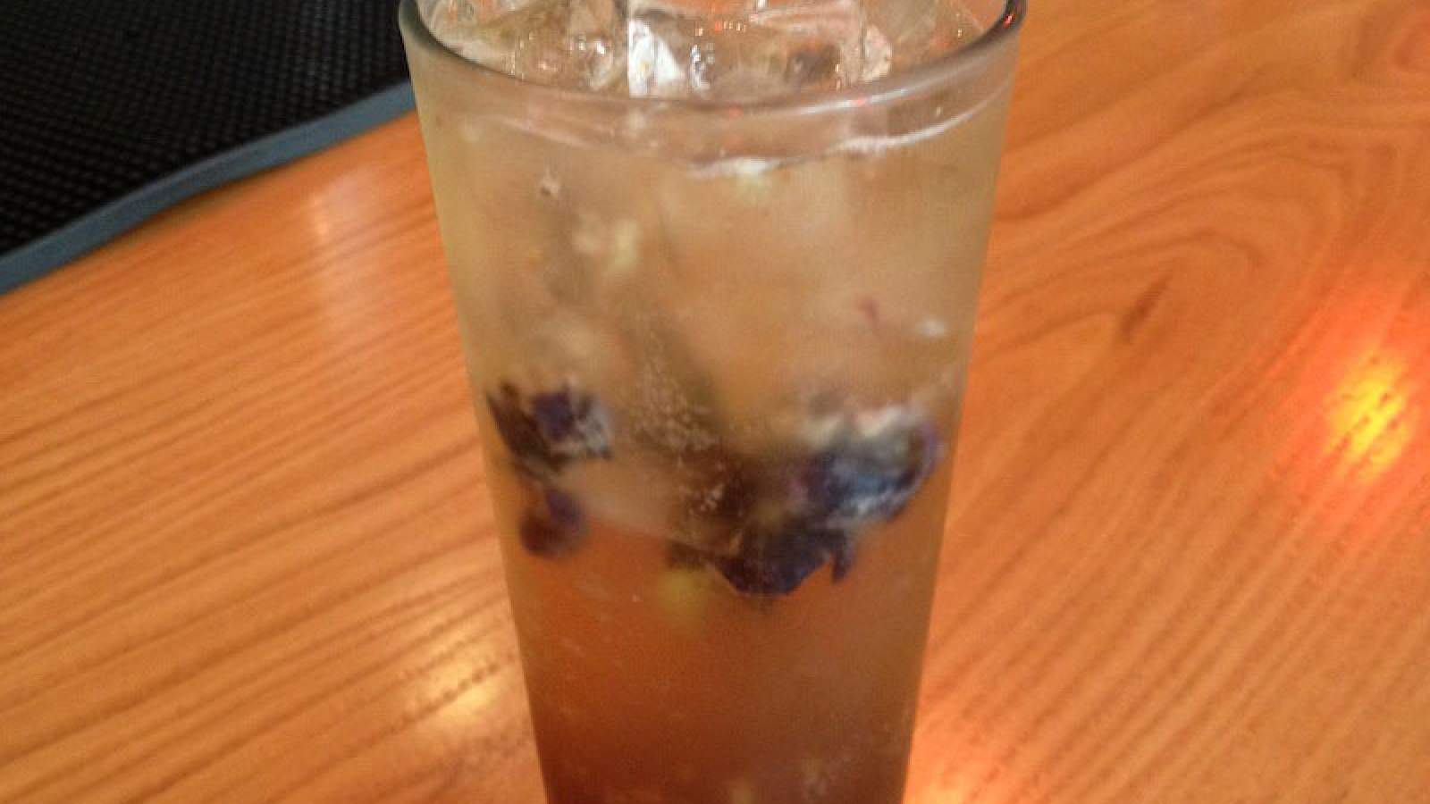 Blueberry Ginger Soda - 2 Sparrows