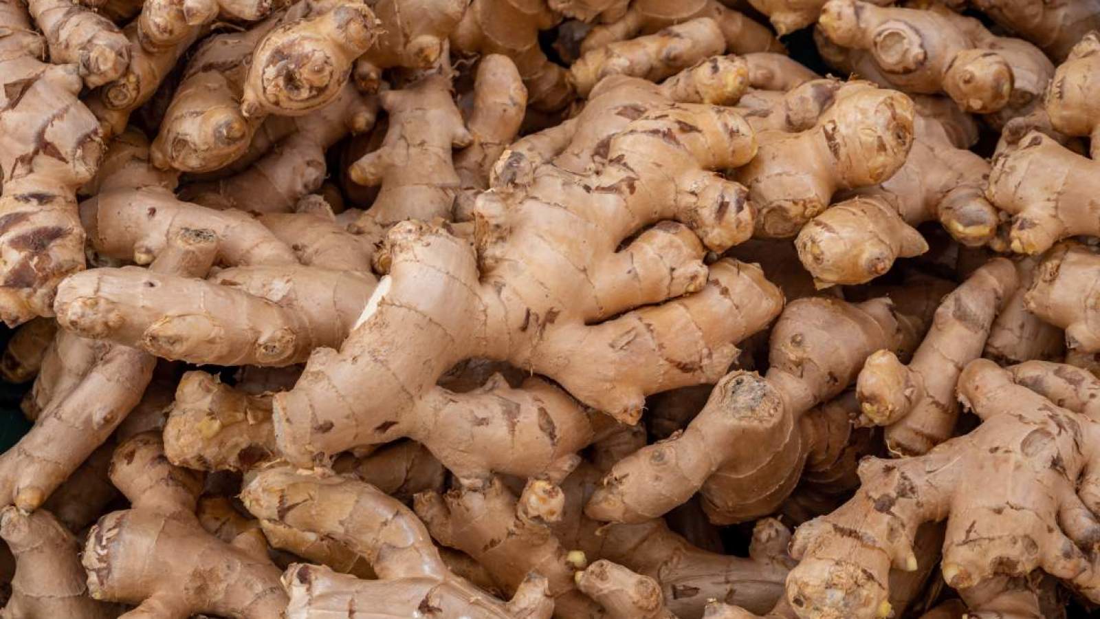 Ginger