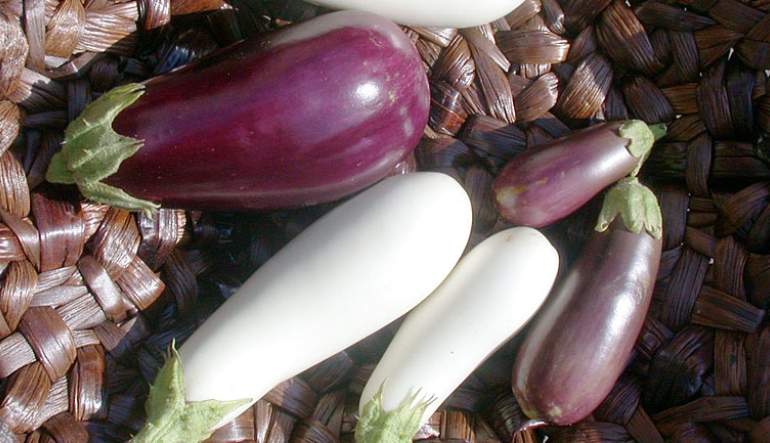Caspian Eggplant