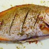 Sapporo Spring Rolls