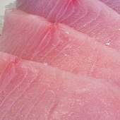 Yellowtail Sashimi Ceviche