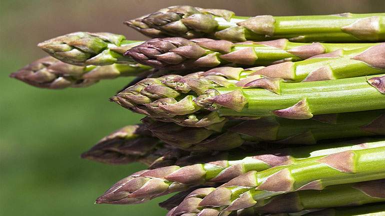 Beef and Asparagus Roll