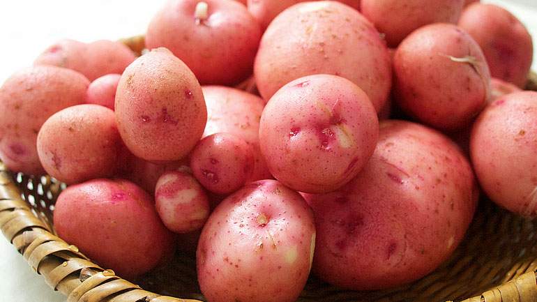 Garlic Potato Salad