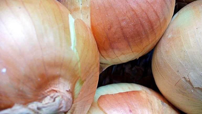 Jean Claude's Onion Tart