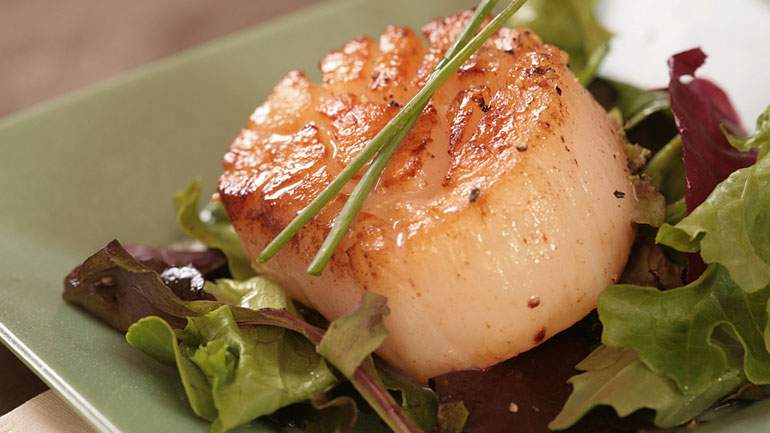 Pan-seared Scallops