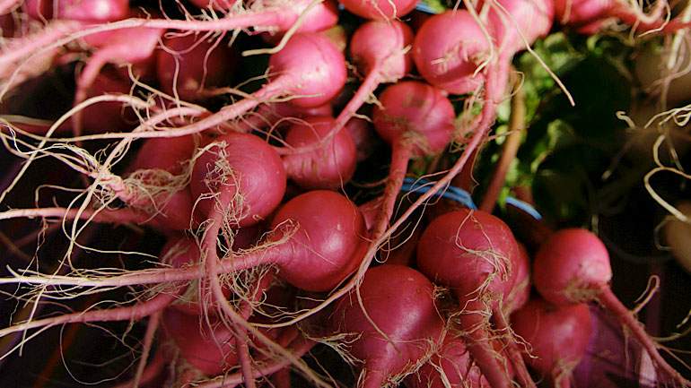 Roasted Beets with Fennel Flan