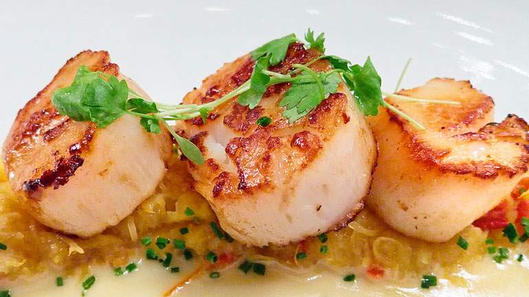 Seared Maine Diver Scallops Recipes Check Please Wttw Chicago