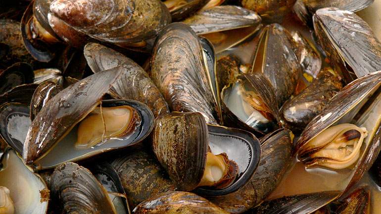 West Coast Mussel Soup with Fennel, Tomato, Saffron and Garlic